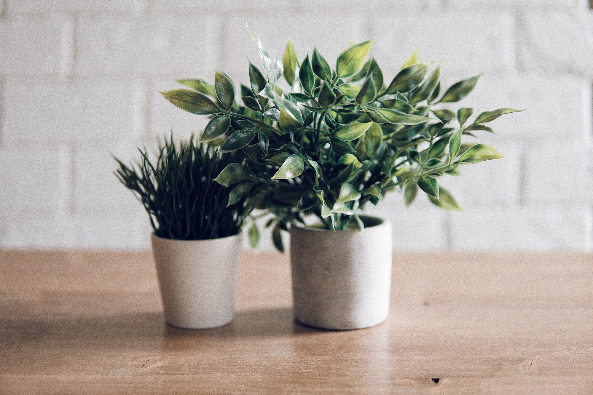 alex-perri-m2D-AFuWV9s-unsplash alex-perri-m2D-AFuWV9s-unsplash
